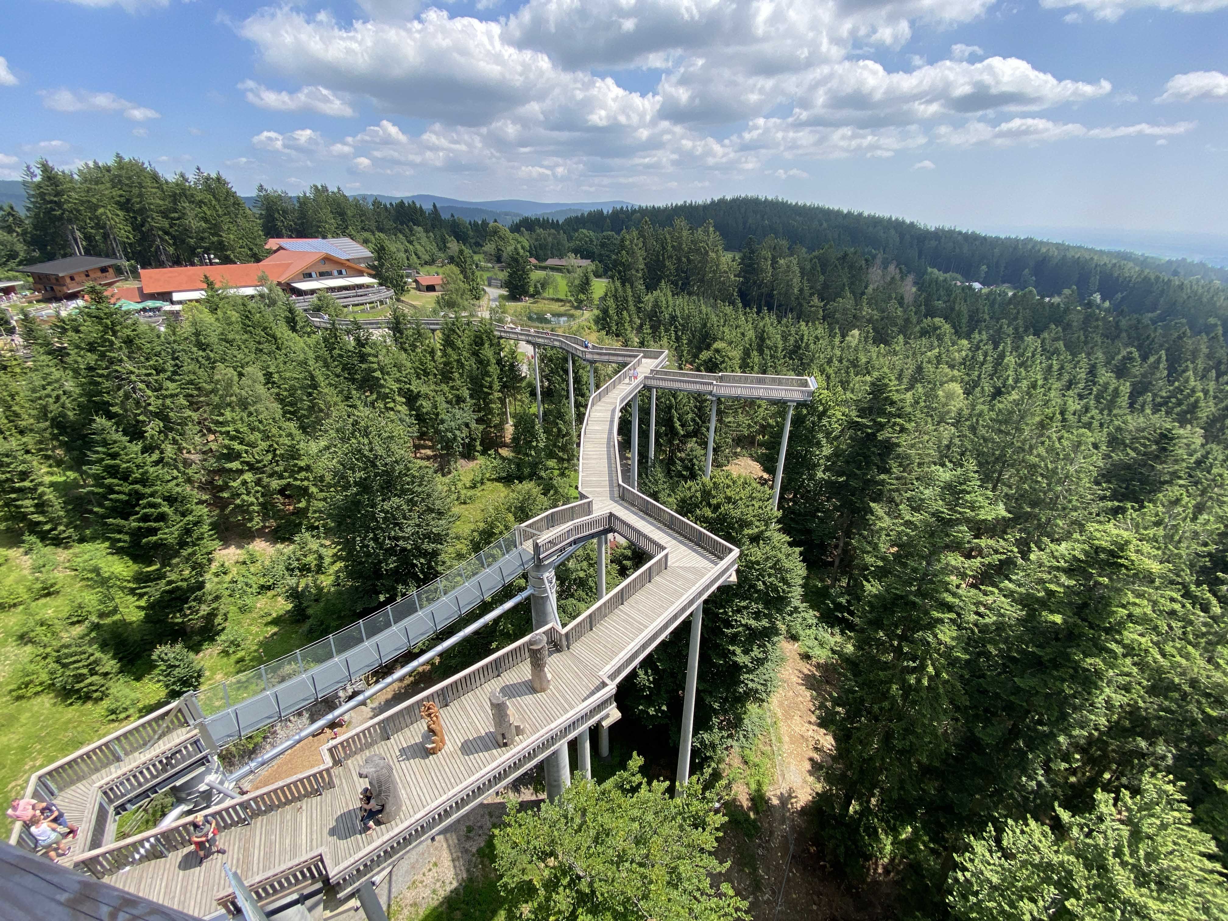 Waldwipfelweg trong Rừng Bavarian, Đức